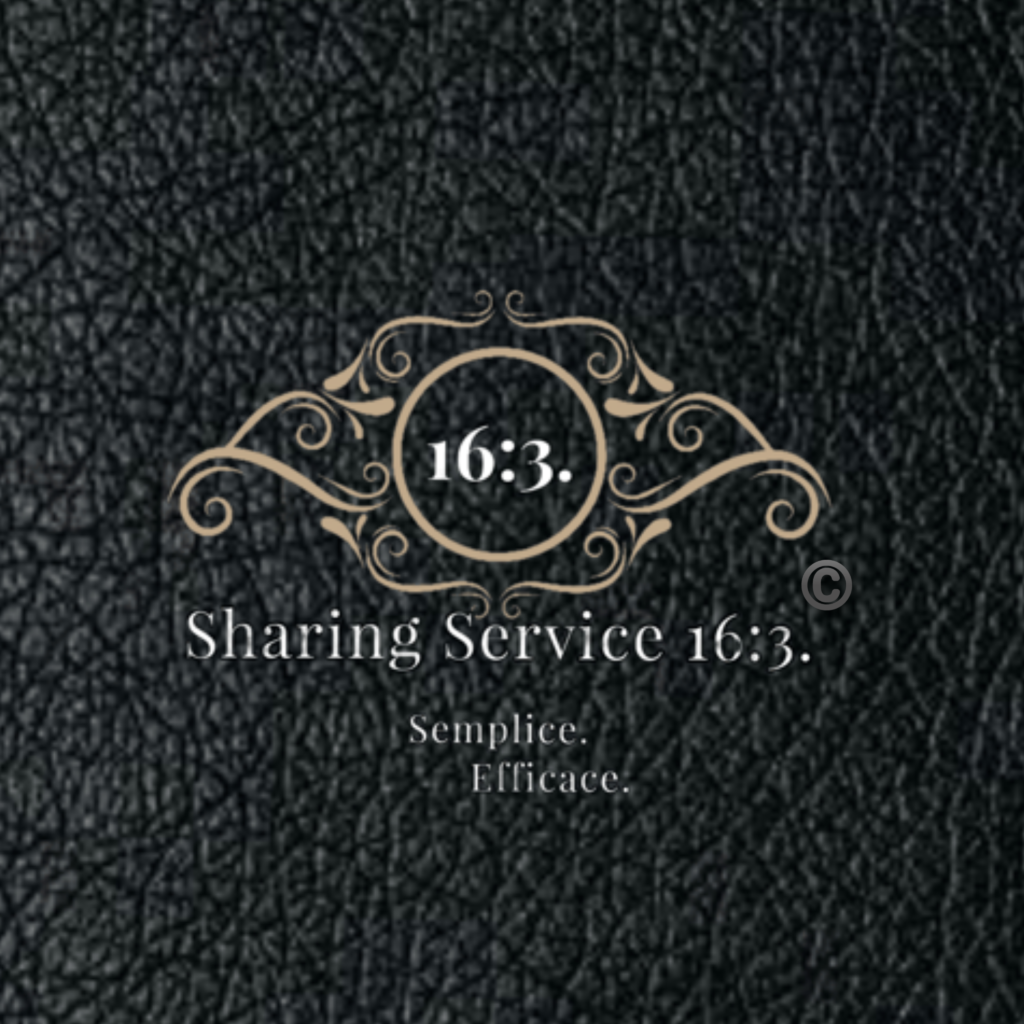 Logo Sharing Service 16:3 – Semplice Efficace